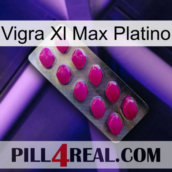 Vigra Xl Max Platinum 09.jpg